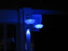 Plafoniere della Capannina illuminate con le lampade a led blu